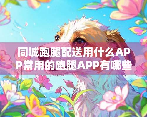 同城跑腿配送用什么APP常用的跑腿APP有哪些？