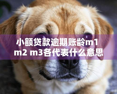 小额贷款逾期账龄m1 m2 m3各代表什么意思？