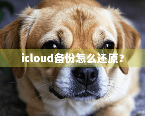 icloud备份怎么还原？