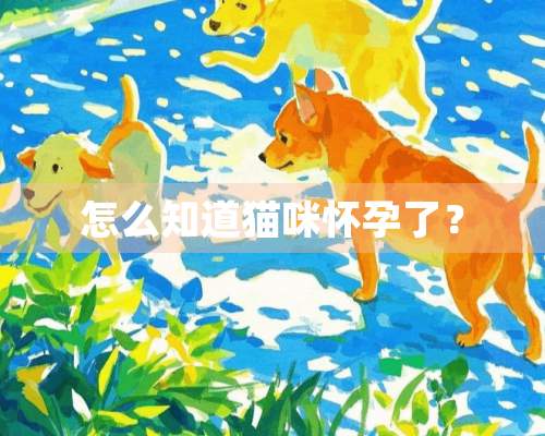 怎么知道猫咪怀孕了？