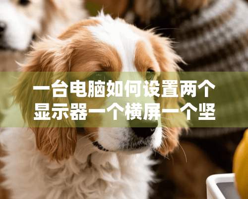 一台电脑如何设置两个显示器一个横屏一个坚屏。