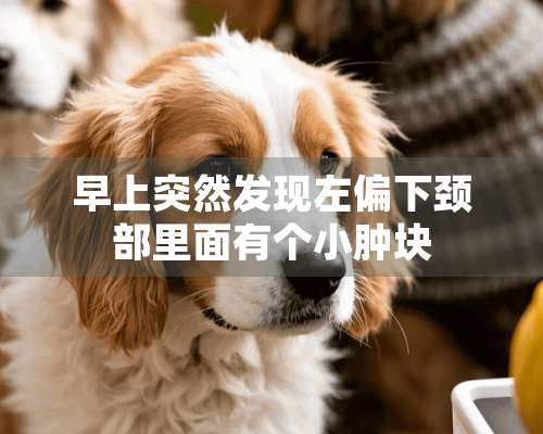 早上突然发现左偏下颈部里面有个小肿块