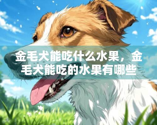 金毛犬能吃什么水果，金毛犬能吃的水果有哪些