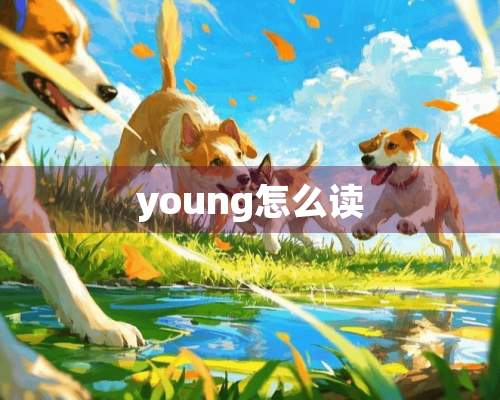 young怎么读