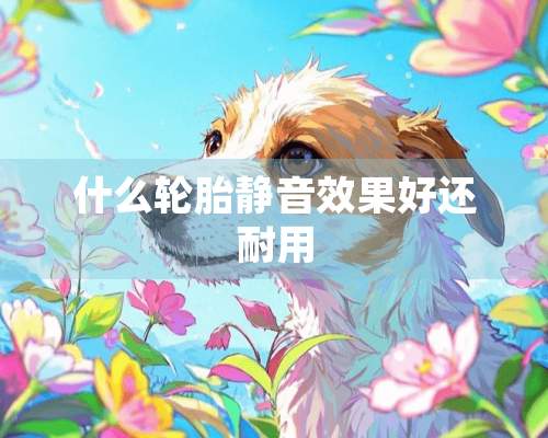 什么轮胎静音效果好还耐用