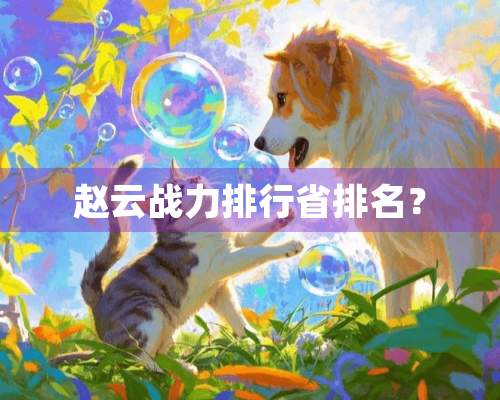 赵云战力排行省排名？