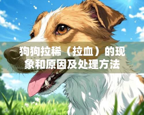 狗狗拉稀（拉血）的现象和原因及处理方法