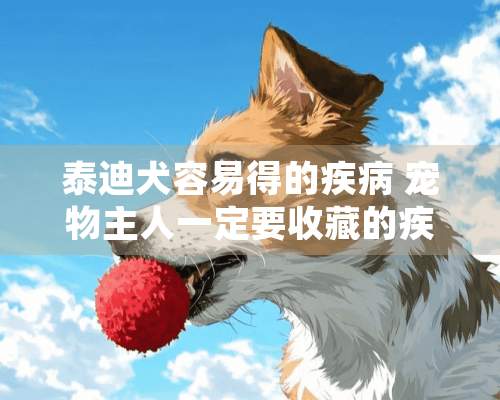 泰迪犬容易得的疾病 宠物主人一定要收藏的疾病