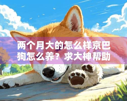 两个月大的怎么样京巴狗怎么养？求大神帮助