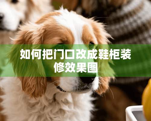 如何把门口改成鞋柜装修效果图