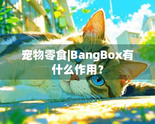 宠物零食|BangBox有什么作用？