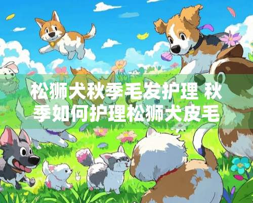 松狮犬秋季毛发护理 秋季如何护理松狮犬皮毛？