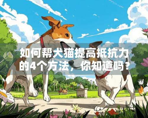 如何帮犬猫提高抵抗力的4个方法，你知道吗？