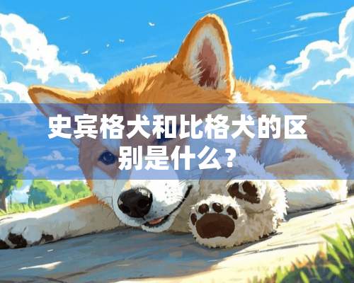 史宾格犬和比格犬的区别是什么？