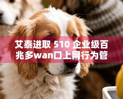 艾泰进取 510 企业级百兆多wan口上网行为管理路由器怎样设置