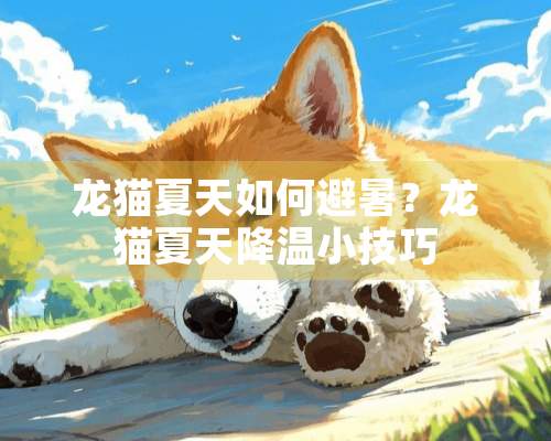 龙猫夏天如何避暑？龙猫夏天降温小技巧