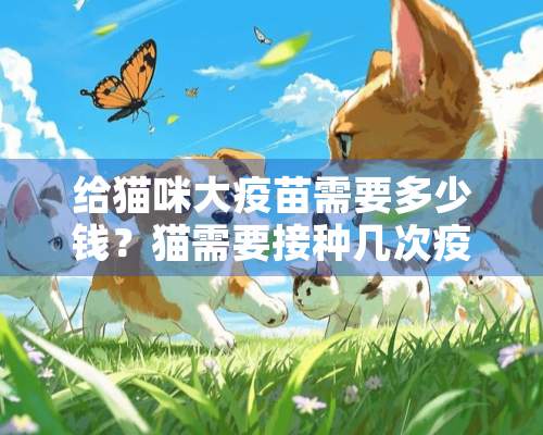 给猫咪大疫苗需要多少钱？猫需要接种几次疫苗