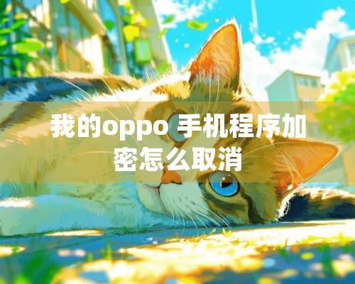 我的oppo 手机程序加密怎么取消