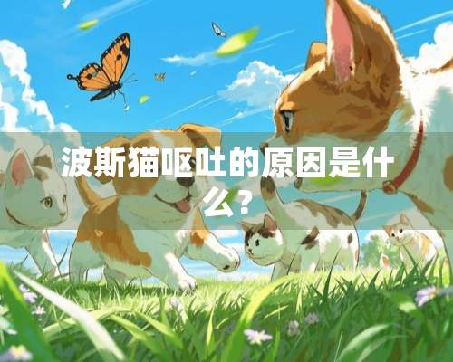 波斯猫呕吐的原因是什么？