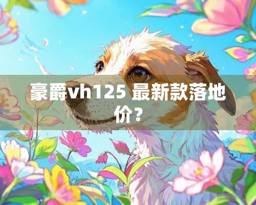 豪爵vh125 最新款落地价？