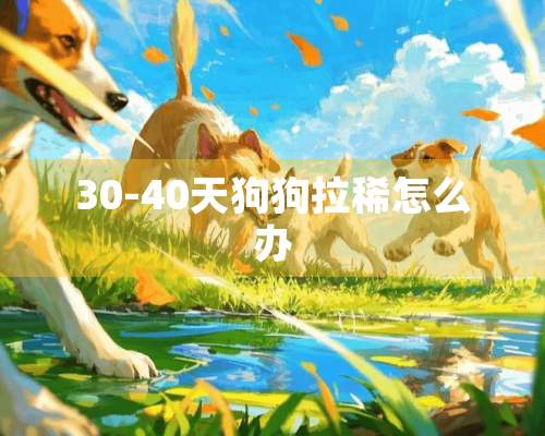 30-40天狗狗拉稀怎么办