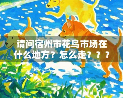 请问宿州市花鸟市场在什么地方？怎么走？？？