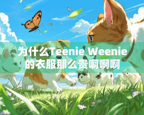 为什么Teenie Weenie的衣服那么贵啊啊啊