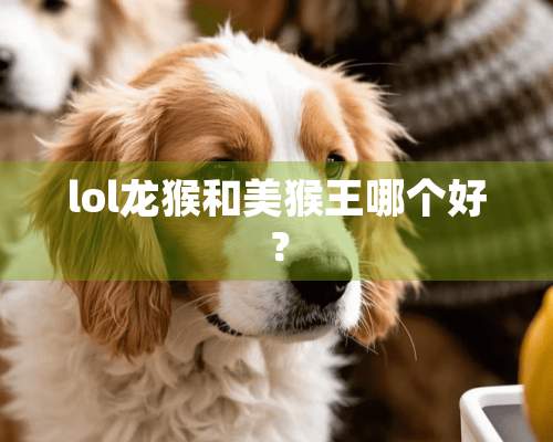 lol龙猴和美猴王哪个好？