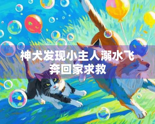 神犬发现小主人溺水飞奔回家求救