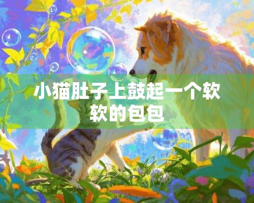 小猫肚子上鼓起一个软软的包包