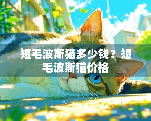 短毛波斯猫多少钱？短毛波斯猫价格