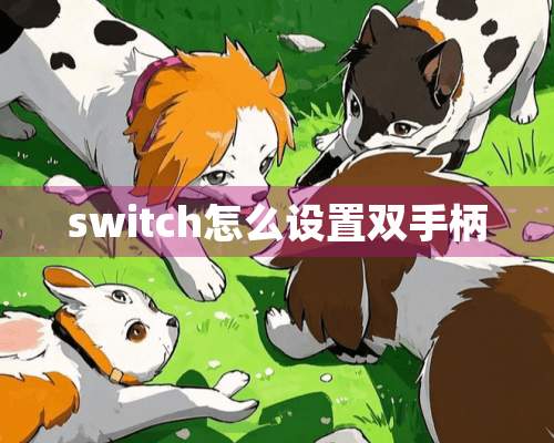 switch怎么设置双手柄