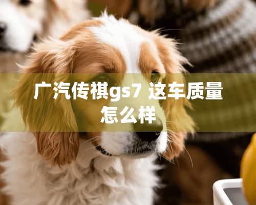 广汽传祺gs7 这车质量怎么样