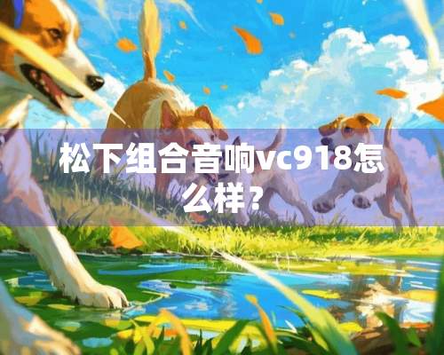 松下组合音响vc918怎么样？