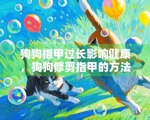 狗狗指甲过长影响健康，狗狗修剪指甲的方法铲