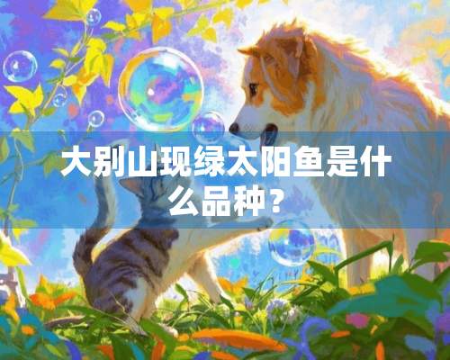 大别山现绿太阳鱼是什么品种？