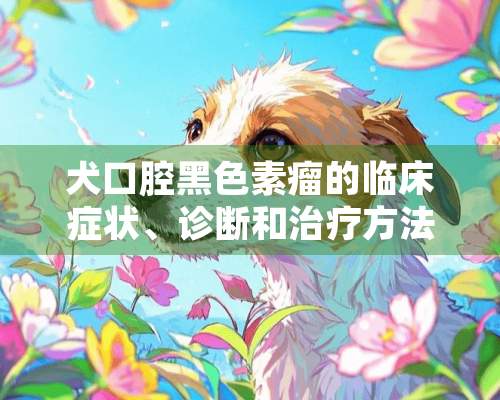 犬口腔黑色素瘤的临床症状、诊断和治疗方法