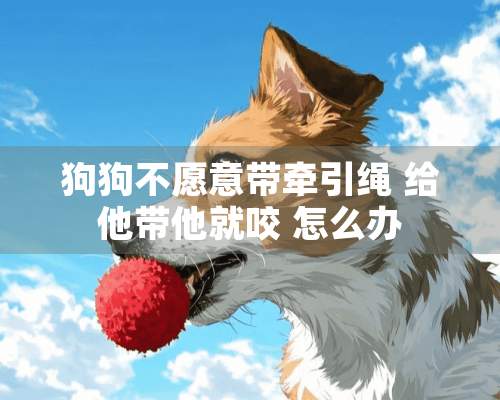 狗狗不愿意带牵引绳 给他带他就咬 怎么办