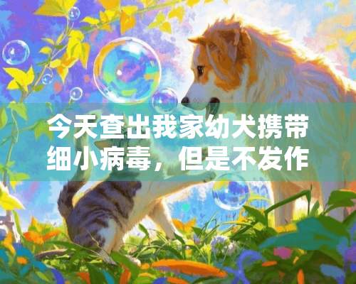 今天查出我家幼犬携带细小**，但是不发作，饮食和精神以及便便都正常，我到宠物医院打了血清，