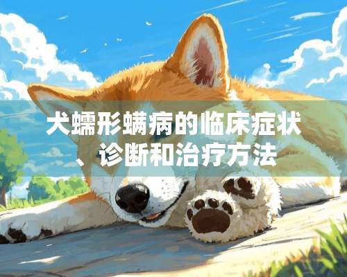 犬蠕形螨病的临床症状、诊断和治疗方法