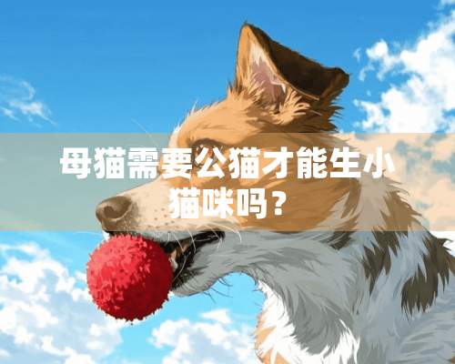 母猫需要公猫才能生小猫咪吗？