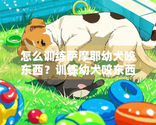 怎么训练萨摩耶幼犬咬东西？训练幼犬咬东西有