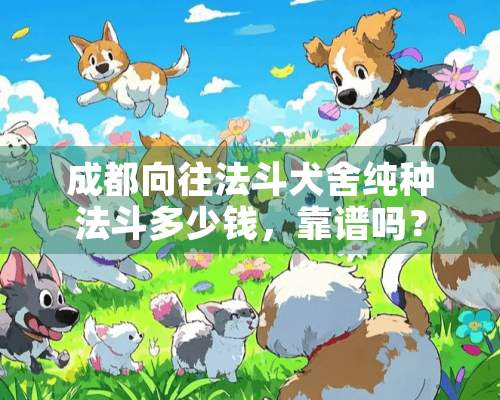 成都向往法斗犬舍纯种法斗多少钱，靠谱吗？