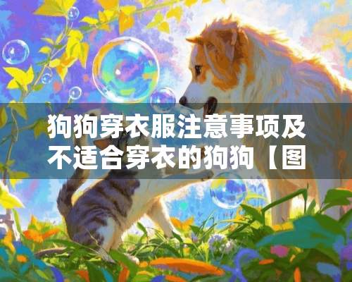 狗狗穿衣服注意事项及不适合穿衣的狗狗【图】