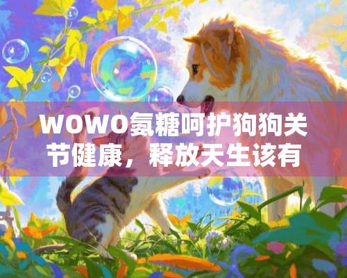 WOWO氨糖呵护狗狗关节健康，释放天生该有的灵动