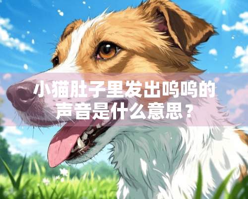 小猫肚子里发出呜呜的声音是什么意思？