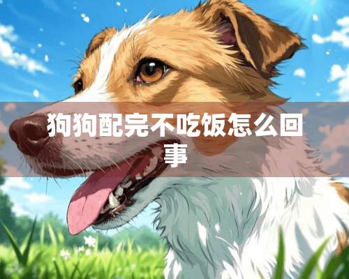 狗狗配完不吃饭怎么回事