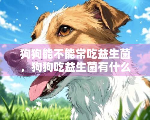 狗狗能不能常吃益生菌，狗狗吃益生菌有什么好