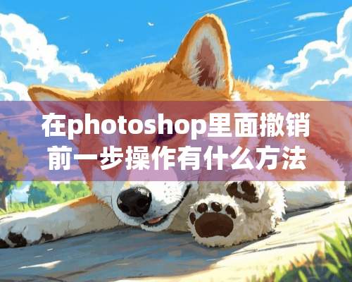 在photoshop里面撤销前一步操作有什么方法？