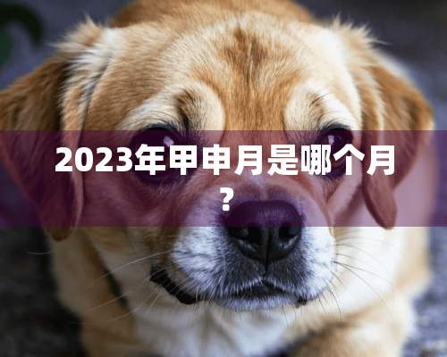 2023年甲申月是哪个月？